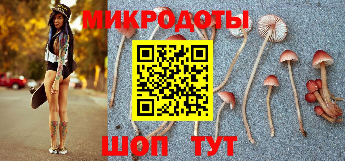 Галлюциногенные грибы мицелий  Псилоцибиновые грибы Psilocybe  Вход с VPN  Губаха 